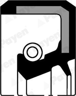 Payen NJ527 - Уплотняющее кольцо, сальник, ступица колеса avtokuzovplus.com.ua