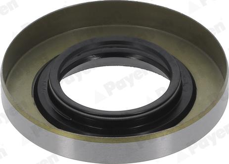 Payen NK123 - Ущільнене кільце, диференціал autocars.com.ua