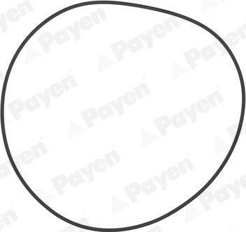 Payen PA708 - Уплотнительное кольцо, гильза цилиндра avtokuzovplus.com.ua