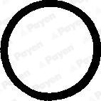 Payen PB248 - Прокладка, болт кришка головки циліндра autocars.com.ua