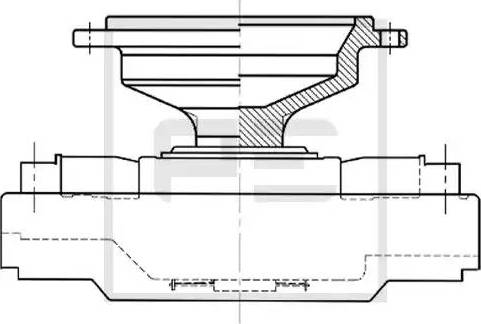 PE Automotive 010.346-00A - Зчеплення, вентилятор радіатора autocars.com.ua