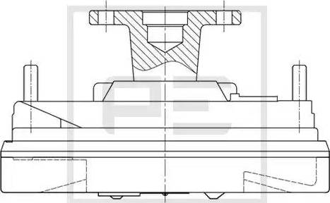 PE Automotive 010.347-00A - Зчеплення, вентилятор радіатора autocars.com.ua