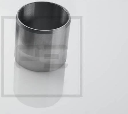 PE Automotive 011.089-00A - Підшипник, приводний вал autocars.com.ua