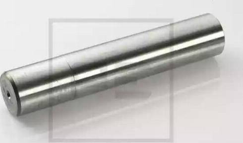 PE Automotive 031.346-00A - Болт поворотного кулака autocars.com.ua