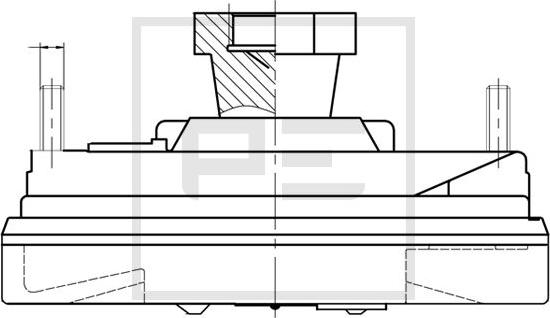 PE Automotive 100.235-00A - Зчеплення, вентилятор радіатора autocars.com.ua