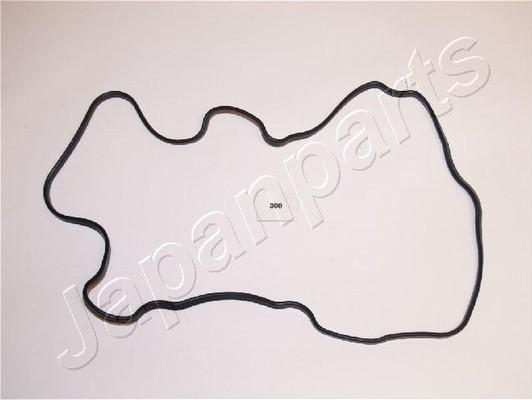 Pemebla JAPGP-300 - Прокладка, кришка головки циліндра autocars.com.ua