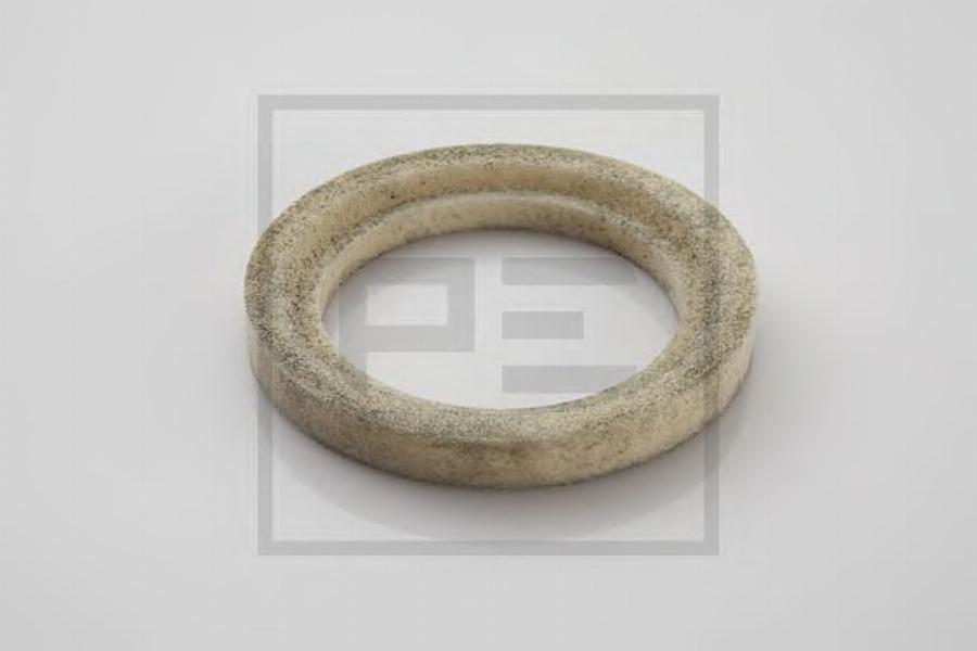 PE Automotive 01106900A - Кільце ущільнювача, підшипник робочого вала autocars.com.ua