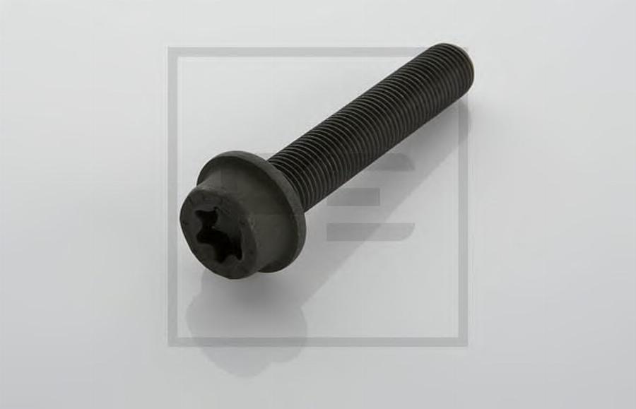 PE Automotive 01617600A - Болт, диск гальмівного механізму autocars.com.ua