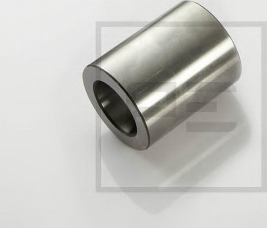 PE Automotive 10100300A - Втулка, шворінь поворотного кулака autocars.com.ua