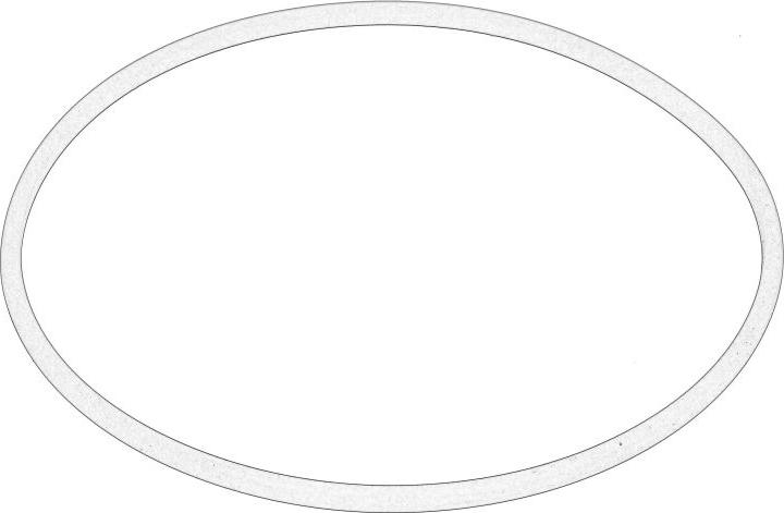 PSA 153149 - Прокладка, паливний бак autocars.com.ua