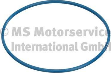 Pierburg 3.32038.00.0 - Прокладка, пробка паливного бака autocars.com.ua