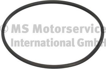 Pierburg 3.32038.02.0 - Прокладка, пробка паливного бака autocars.com.ua