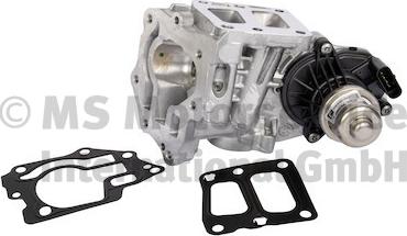 Pierburg 7.06036.15.0 - Клапан повернення ОГ autocars.com.ua