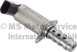 Pierburg 7.06117.46.0 - Регулюючий клапан, виставлення розподільного вала autocars.com.ua