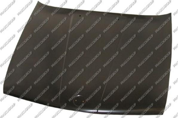 Prasco BM0103100 - Капот двигуна autocars.com.ua