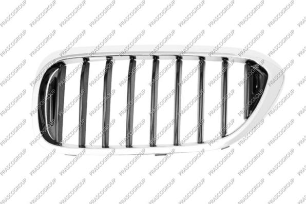 Prasco BM0522024 - Решітка радіатора autocars.com.ua