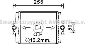 Prasco BW2451 - Радіатор, охолодження двигуна autocars.com.ua