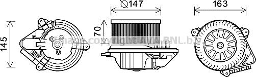 Prasco CN8293 - Електродвигун, вентиляція салону autocars.com.ua