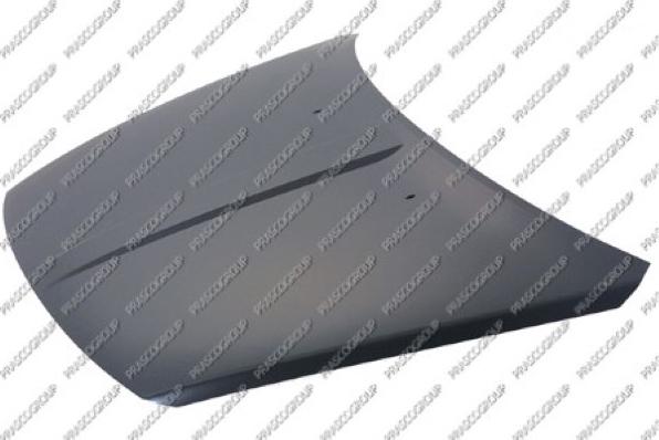 Prasco DG7003100 - Капот двигуна autocars.com.ua