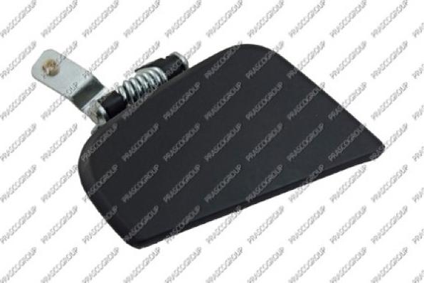 Prasco DS2718101 - Ручка двері autocars.com.ua