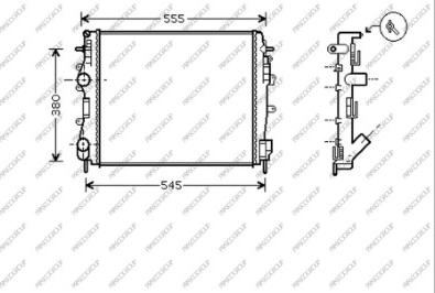 Prasco DS917R011 - Радиатор, охлаждение двигателя autodnr.net