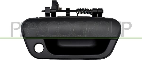 Prasco DW3408001 - Ручка двері autocars.com.ua