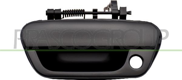 Prasco DW3408002 - Ручка двері autocars.com.ua
