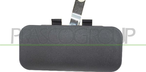 Prasco FD9108001 - Ручка двері autocars.com.ua