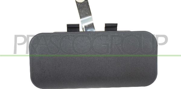 Prasco FD9108002 - Ручка двері autocars.com.ua