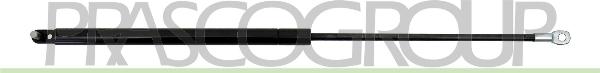 Prasco FT1219065 - Газова пружина, кришка багажник autocars.com.ua