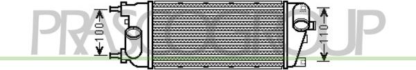Prasco FT124N002 - Интеркулер, теплообменник турбины avtokuzovplus.com.ua