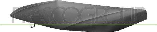 Prasco HD0503100 - Капот двигуна autocars.com.ua
