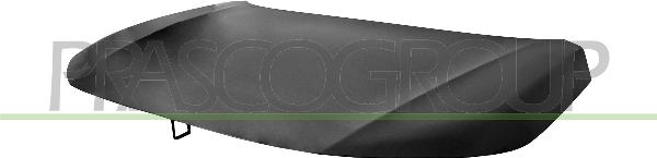 Prasco HD0503110 - Капот двигуна autocars.com.ua