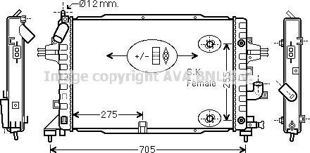 Prasco OLA2467 - Радиатор, охлаждение двигателя avtokuzovplus.com.ua