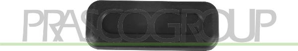 Prasco PG4248950 - Вимикач, замок задніх дверей autocars.com.ua