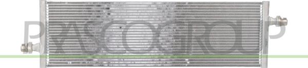 Prasco TS300R001 - Радіатор, охолодження двигуна autocars.com.ua