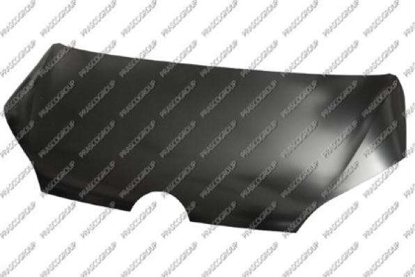 Prasco VG2013100 - Капот двигуна autocars.com.ua