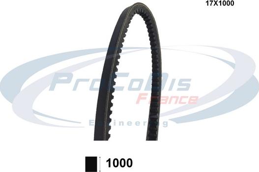 Procodis France 17X1000 - Клиновий ремінь autocars.com.ua