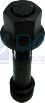QAP S10003 030002 - Болт кріплення колеса autocars.com.ua
