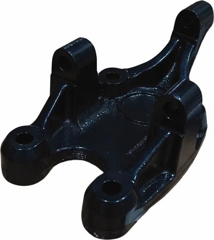 QAP S10011 050189 - Шарнірний кронштейн, балка моста autocars.com.ua