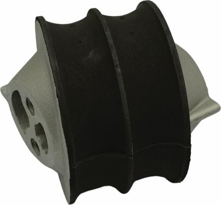 QAP S12011 050406 - Подушка, підвіска двигуна autocars.com.ua