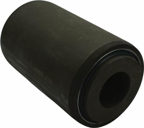 QAP S12011 050598 - Втулка, листова ресора autocars.com.ua