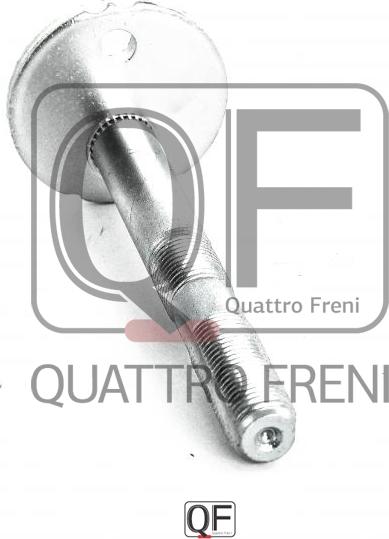 Quattro Freni QF00X00009 - Болт, установка управляемых колес avtokuzovplus.com.ua