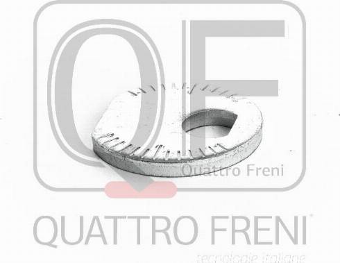 Quattro Freni QF00X00012 - Болт, установка управляемых колес avtokuzovplus.com.ua
