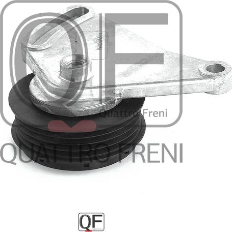 Quattro Freni QF31P00005 - Направляющий ролик, поликлиновый ремень avtokuzovplus.com.ua