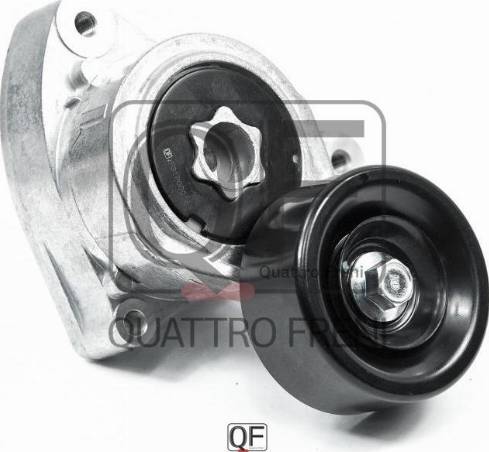 Quattro Freni QF31P00016 - Натяжитель, поликлиновый ремень avtokuzovplus.com.ua