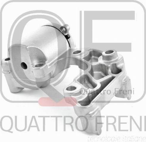 Quattro Freni QF33A00007 - Натяжитель, поликлиновый ремень avtokuzovplus.com.ua