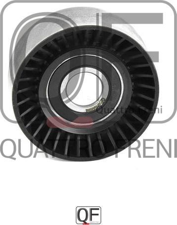 Quattro Freni QF33A00046 - Направляющий ролик, поликлиновый ремень avtokuzovplus.com.ua