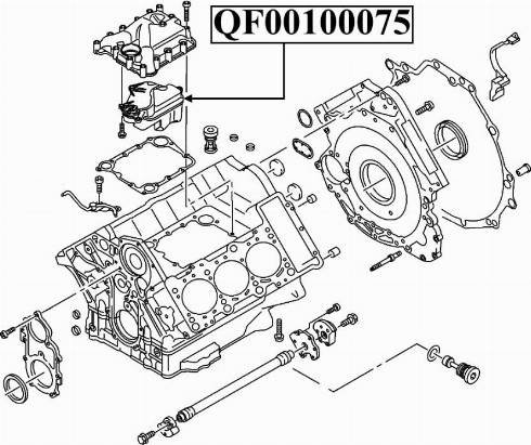 Quattro Freni QF47A00003 - Клапан, відведення повітря з картера autocars.com.ua