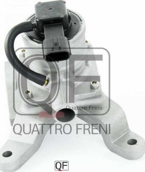 Quattro Freni qf47a00068 - Клапан возврата ОГ autodnr.net